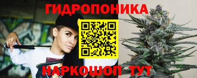 индика Донецк