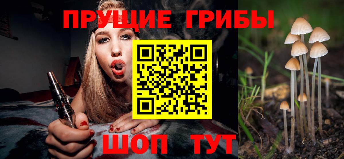 Псилоцибиновые грибы Psilocybine cubensis Нефтекумск